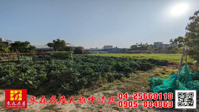 西屯農地-9