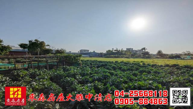 西屯農地-8