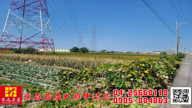 台中農地-3