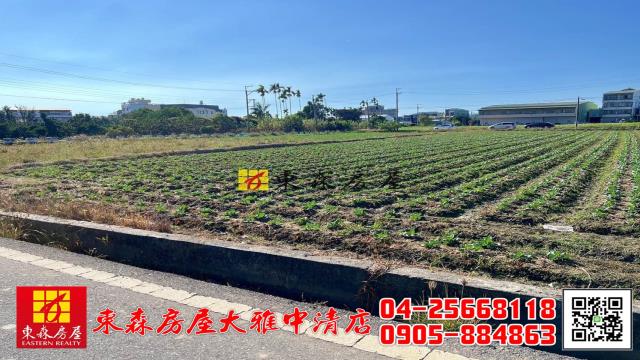 大雅農地-1
