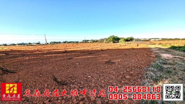 台中大雅農地-11