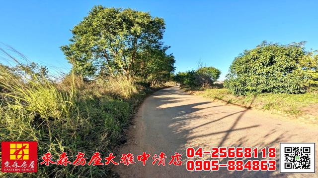 台中大雅農地-7