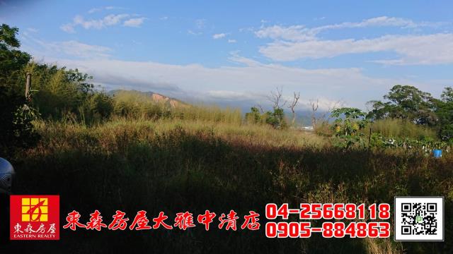 外埔農地-4