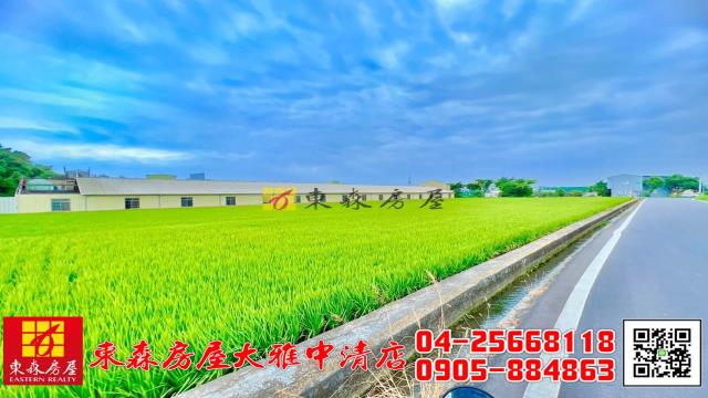 台中大雅農地-2