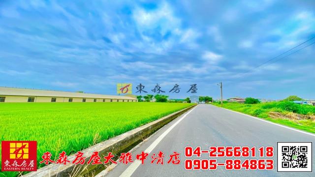 台中大雅農地-3