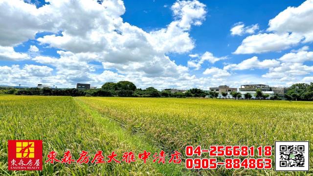 台中神岡農地-0