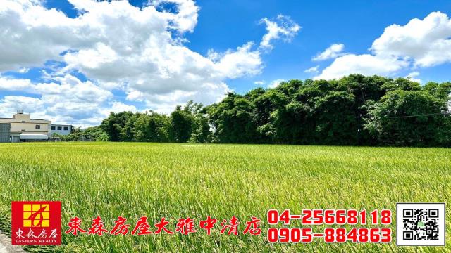 台中神岡農地-2