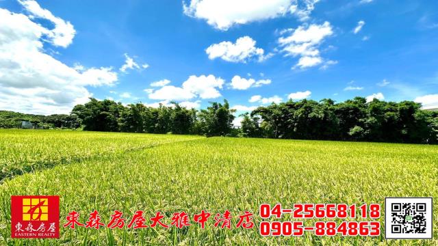 台中神岡農地-3