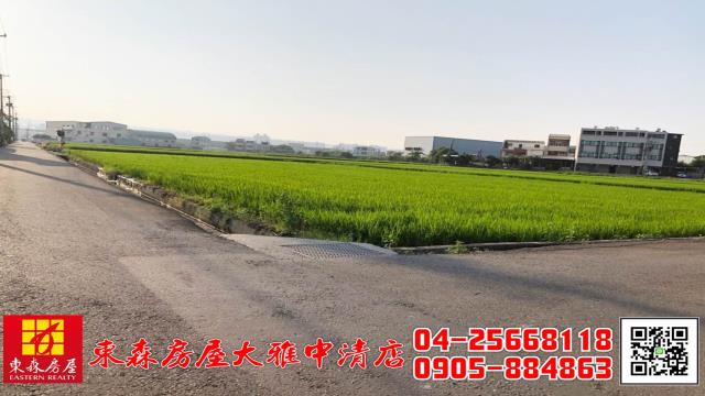 台中大雅農地-0