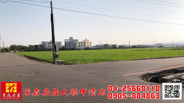 台中大雅農地-2
