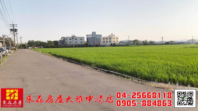 台中大雅農地-3