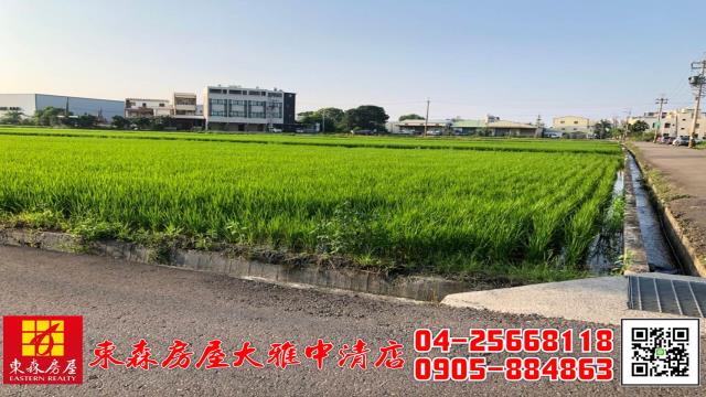 台中大雅農地-4