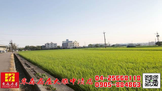 台中大雅農地-5