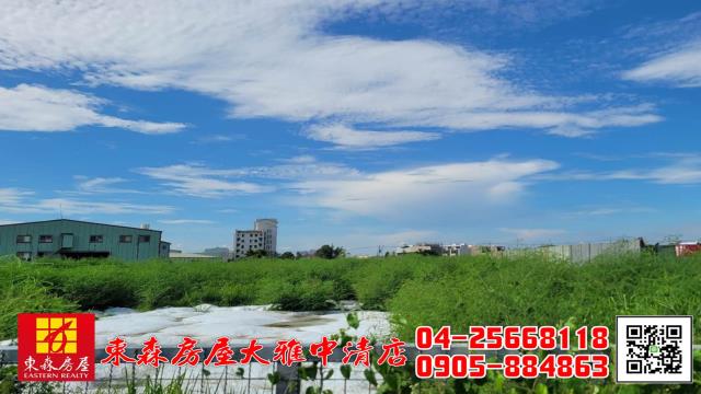 大雅農地-2