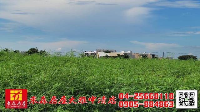 大雅農地-4