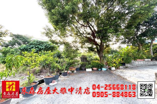 台中大雅農地-0