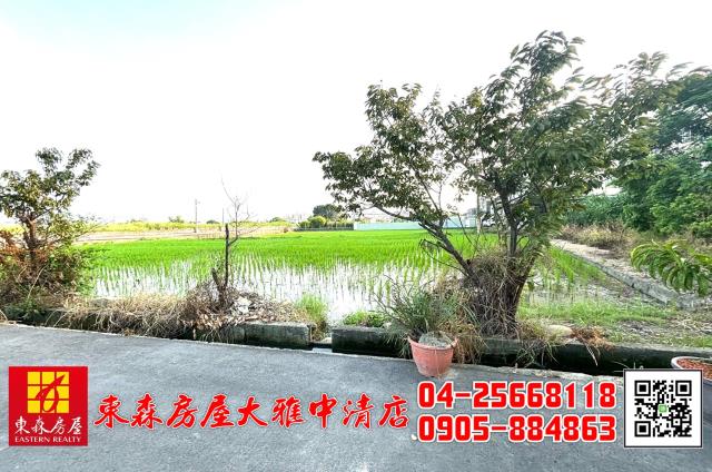 台中大雅農地-3