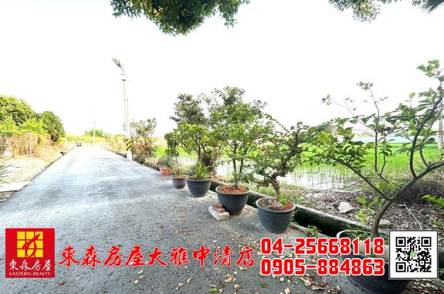 台中大雅農地-5