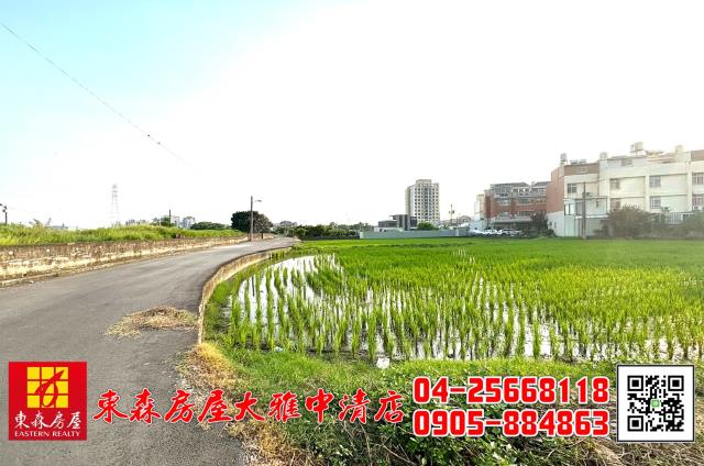 台中大雅農地-6