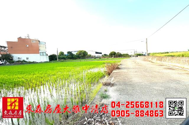 台中大雅農地-8