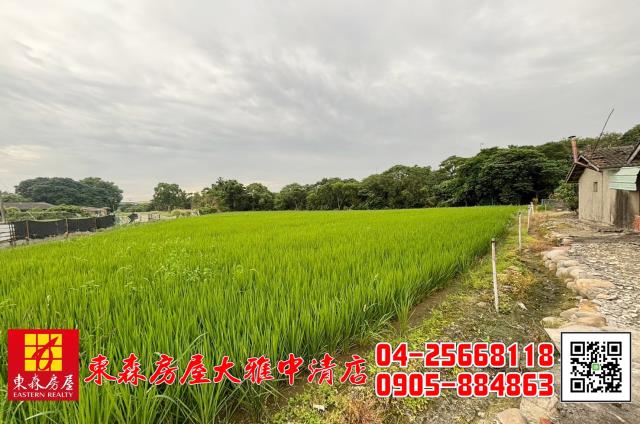 台中農地-1