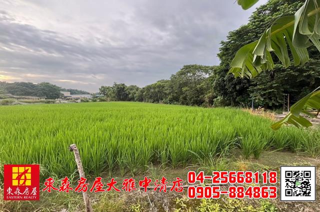 台中農地-3