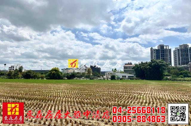 台中大雅農地-1