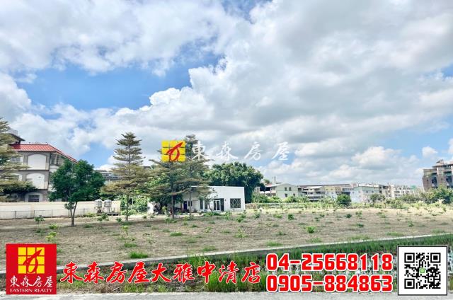 台中大雅農地-3