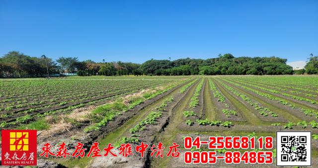 台中神岡農地-0