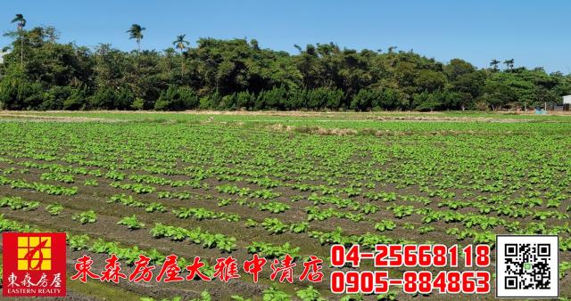 台中神岡農地-1