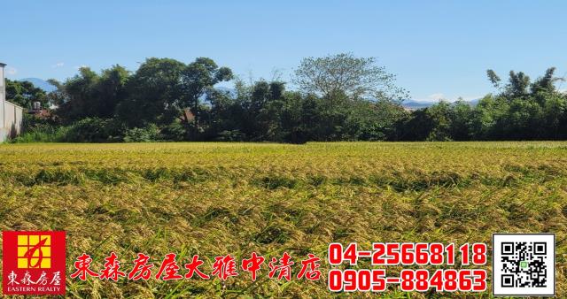 台中神岡農地-3