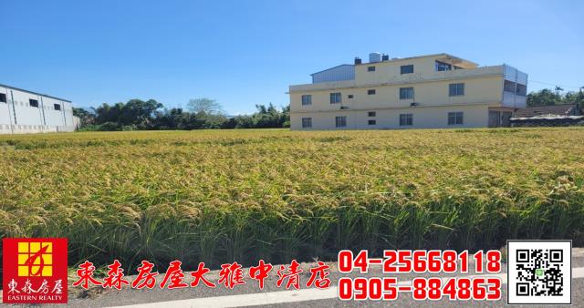 台中神岡農地-4