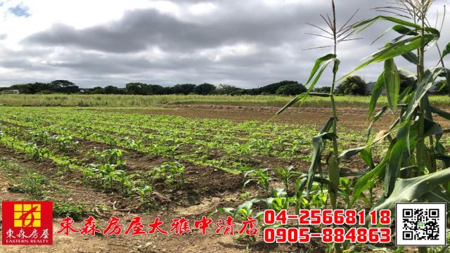 台中農地-0
