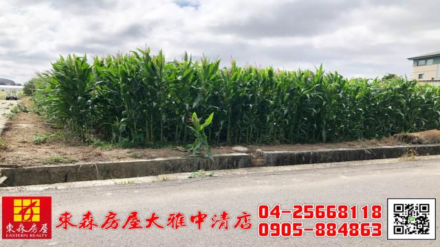 台中農地-6