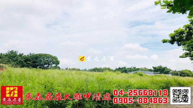 台中農地-2