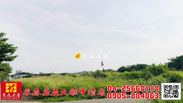 台中農地-4