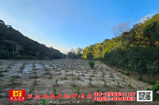 苑裡農地-2