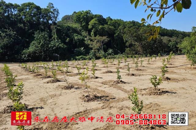 苑裡農地-3