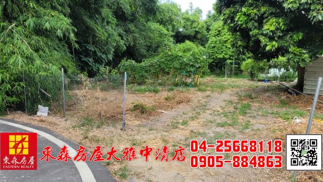 台中神岡農地-1