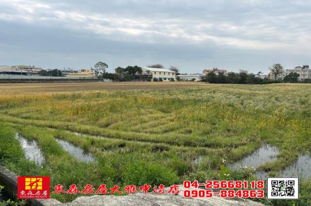 台中大雅農地-1