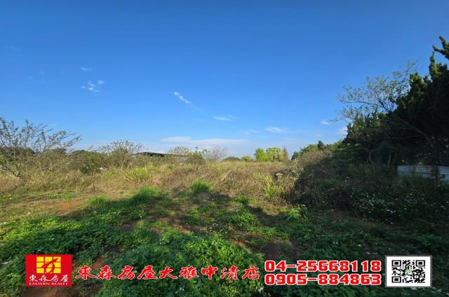 沙鹿農地-4