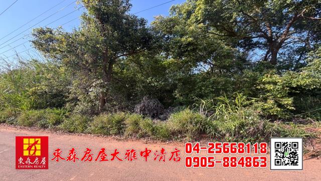 沙鹿農地-4