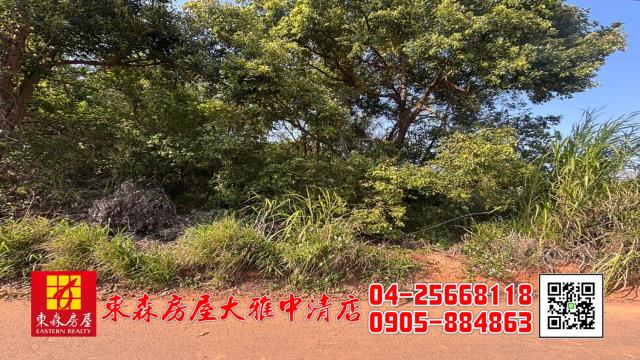 沙鹿農地-5