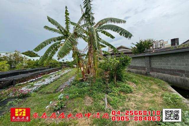 大雅農地-3