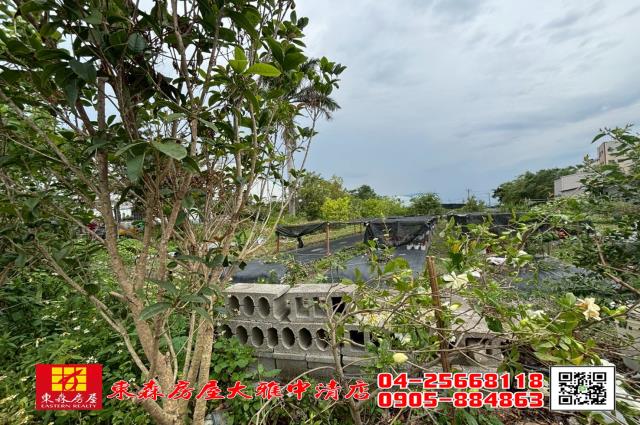 大雅農地-4