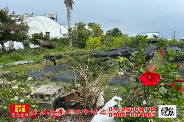 大雅農地-5