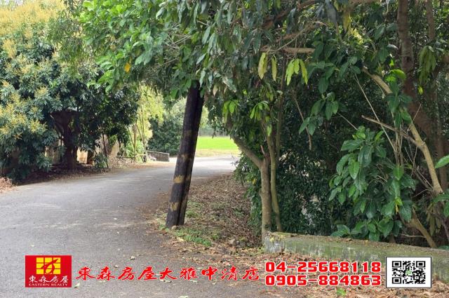 台中農地-4