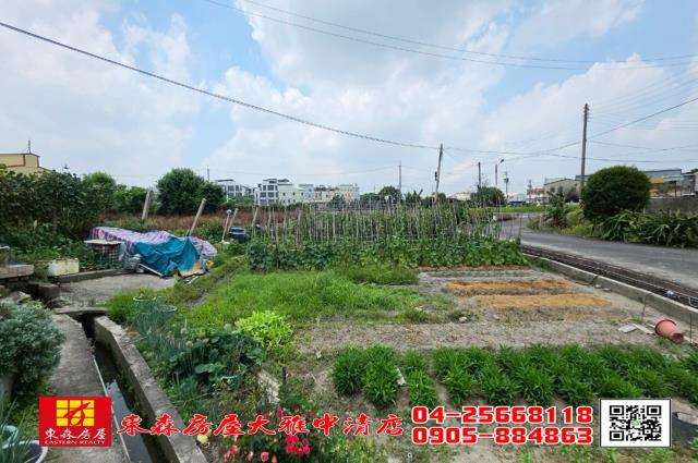 台中大雅建地-1
