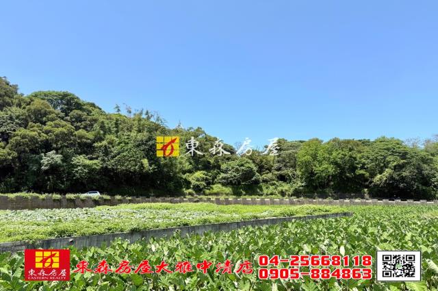 台中大雅農地-1