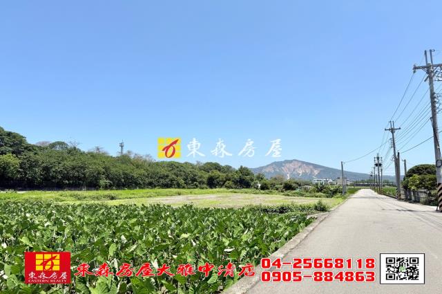 台中大雅農地-2